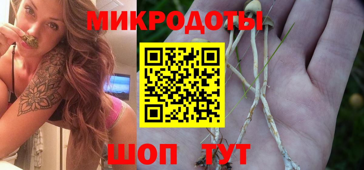 Галлюциногенные грибы мицелий  Вход с VPN  Чебаркуль 